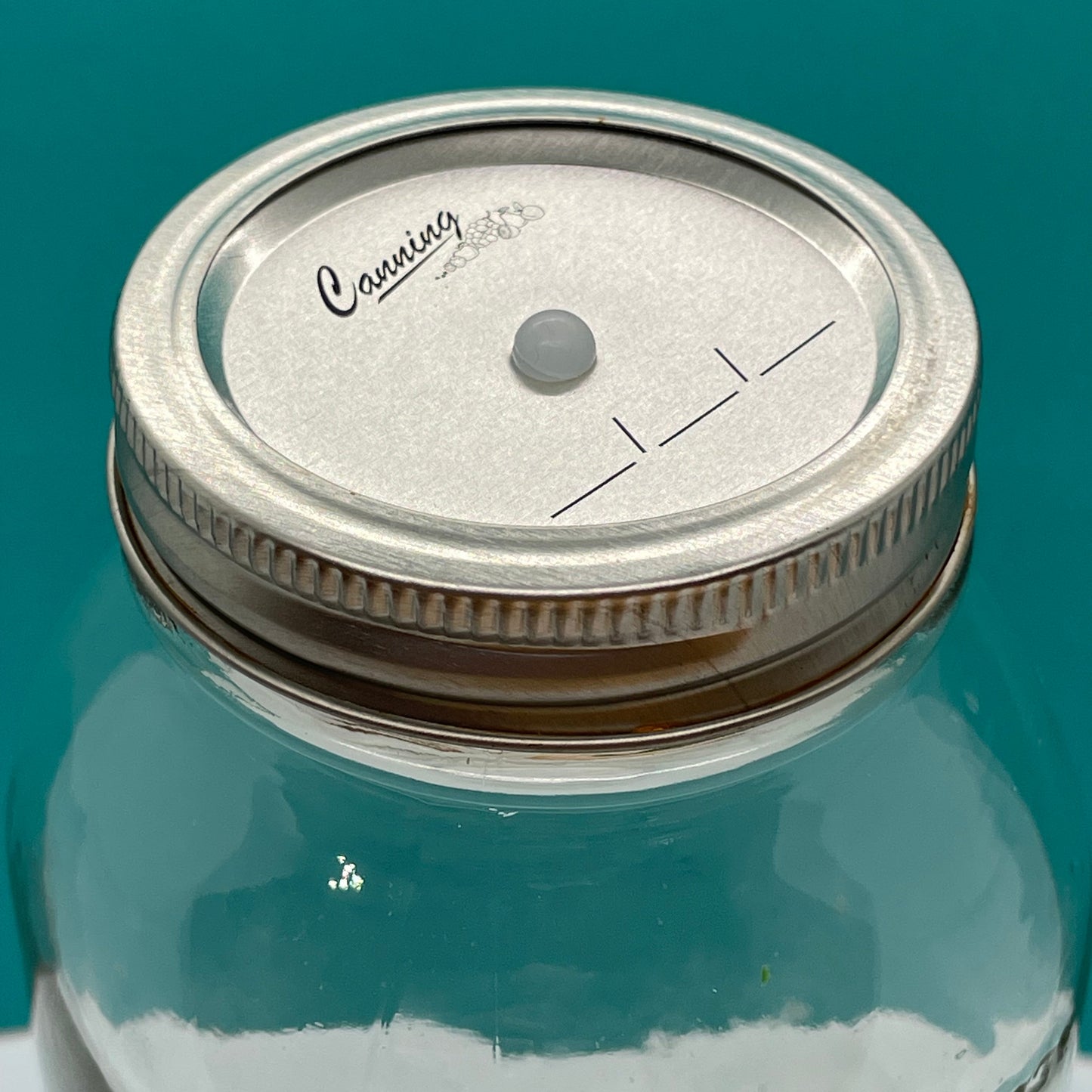 Mason Jar Lid - Regular Mouth