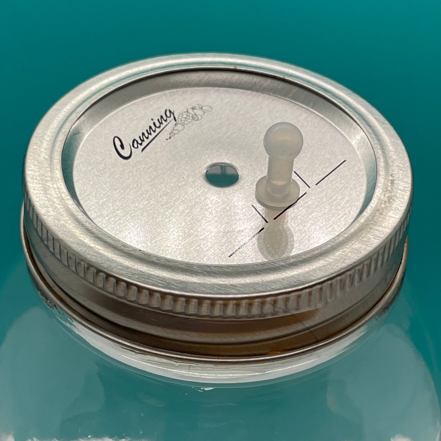 Mason Jar Lid - Regular Mouth