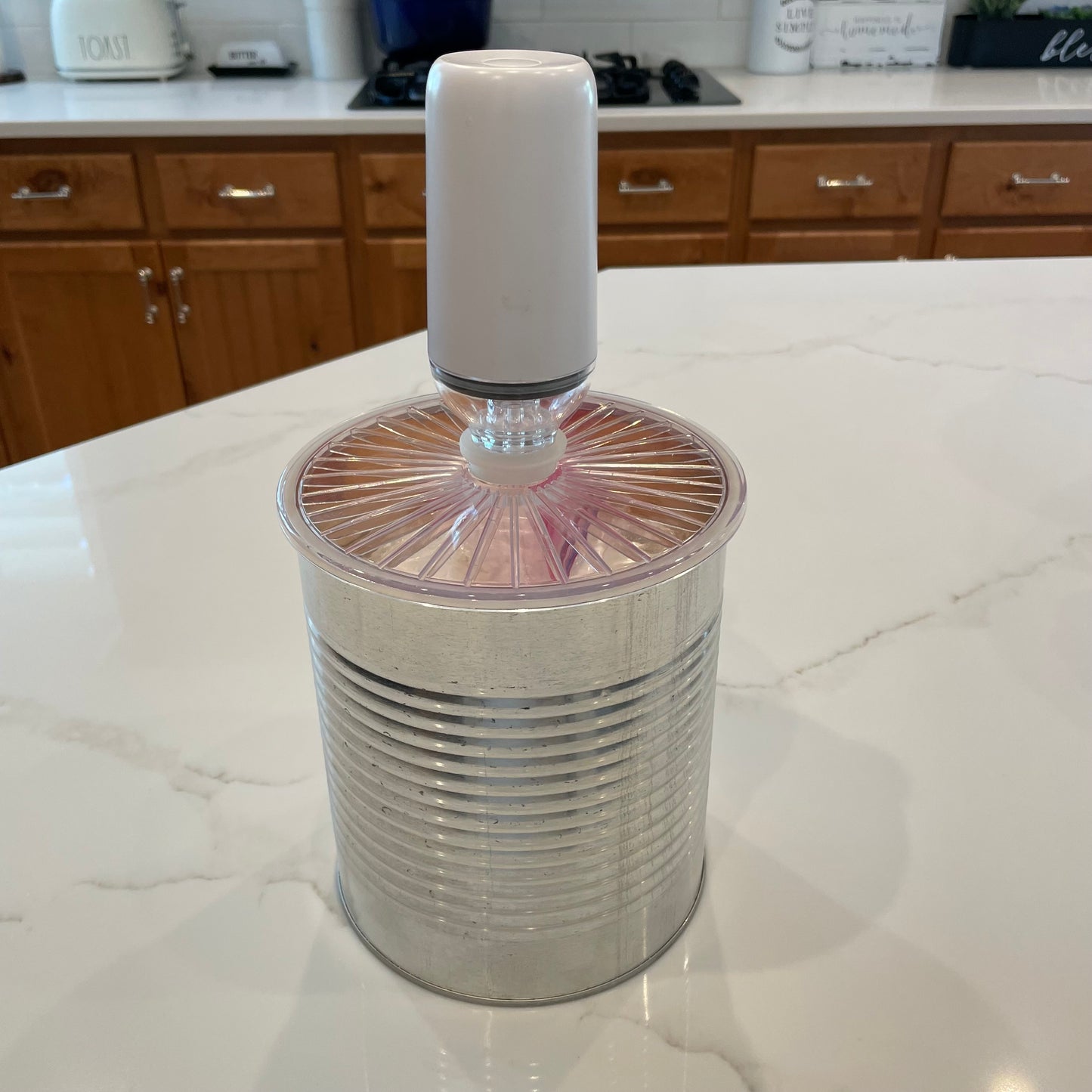 This Sucks Big Time! Electric Vacuum Pump